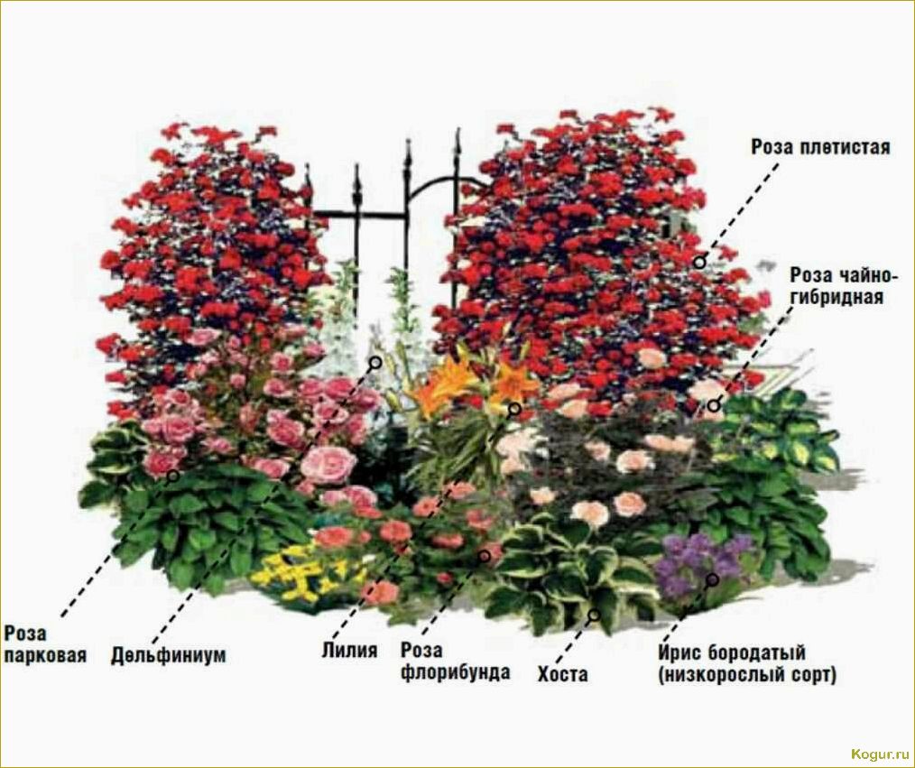 (участок, красных, тонах, растения, акценты) Участок в красных тонах: растения, акценты и особенности