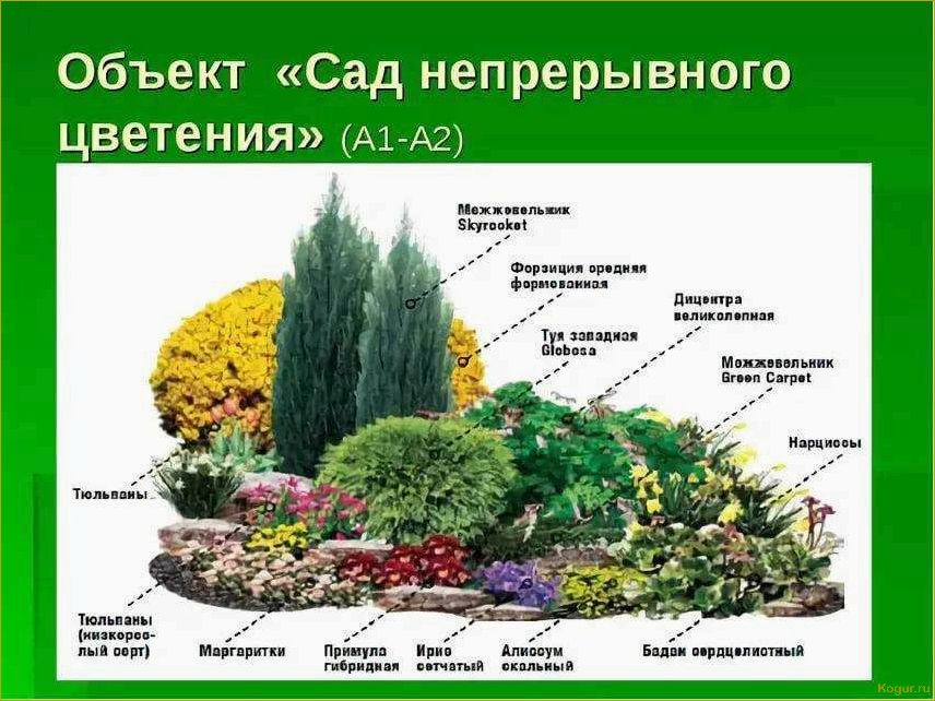 (участок, красных, тонах, растения, акценты) Участок в красных тонах: растения, акценты и особенности