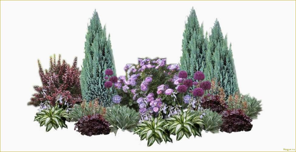 Как использовать сорт Блю Эрроу скального можжевельника для оформления вашего участка