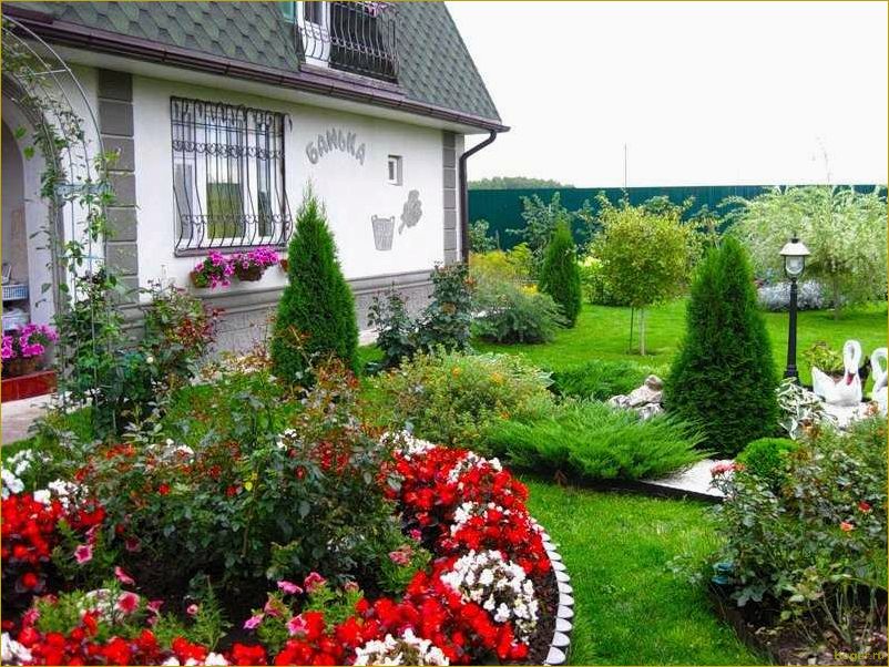 Выбираем розу Гранд Гала для создания прекрасного садового участка