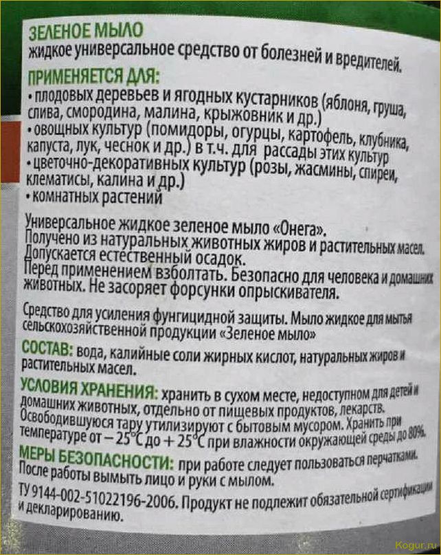 (зеленое, мыло, надежная, броня, растений) Зеленое мыло — надежная броня для растений