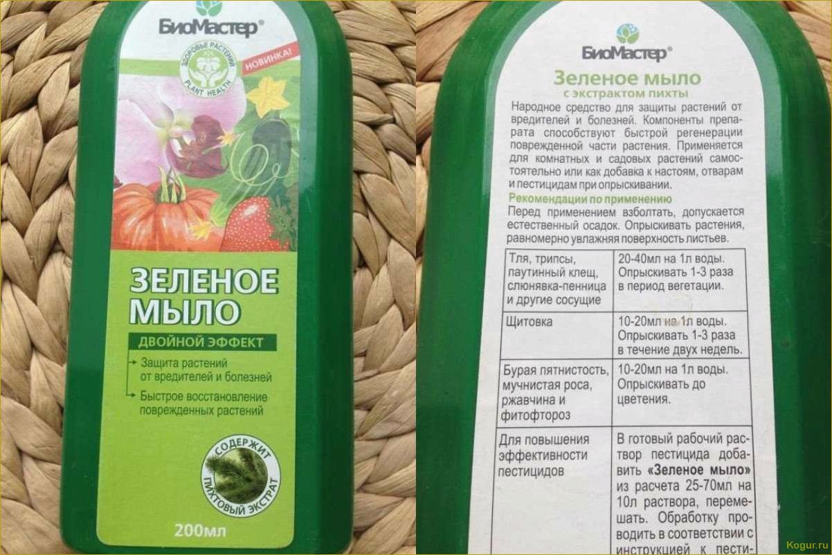 (зеленое, мыло, надежная, броня, растений) Зеленое мыло — надежная броня для растений
