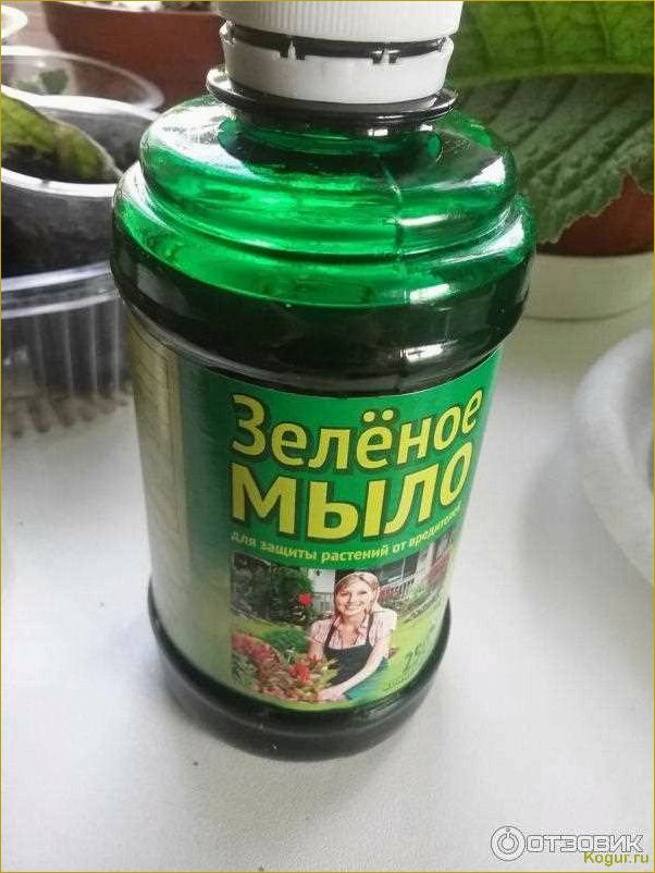 (зеленое, мыло, надежная, броня, растений) Зеленое мыло — надежная броня для растений