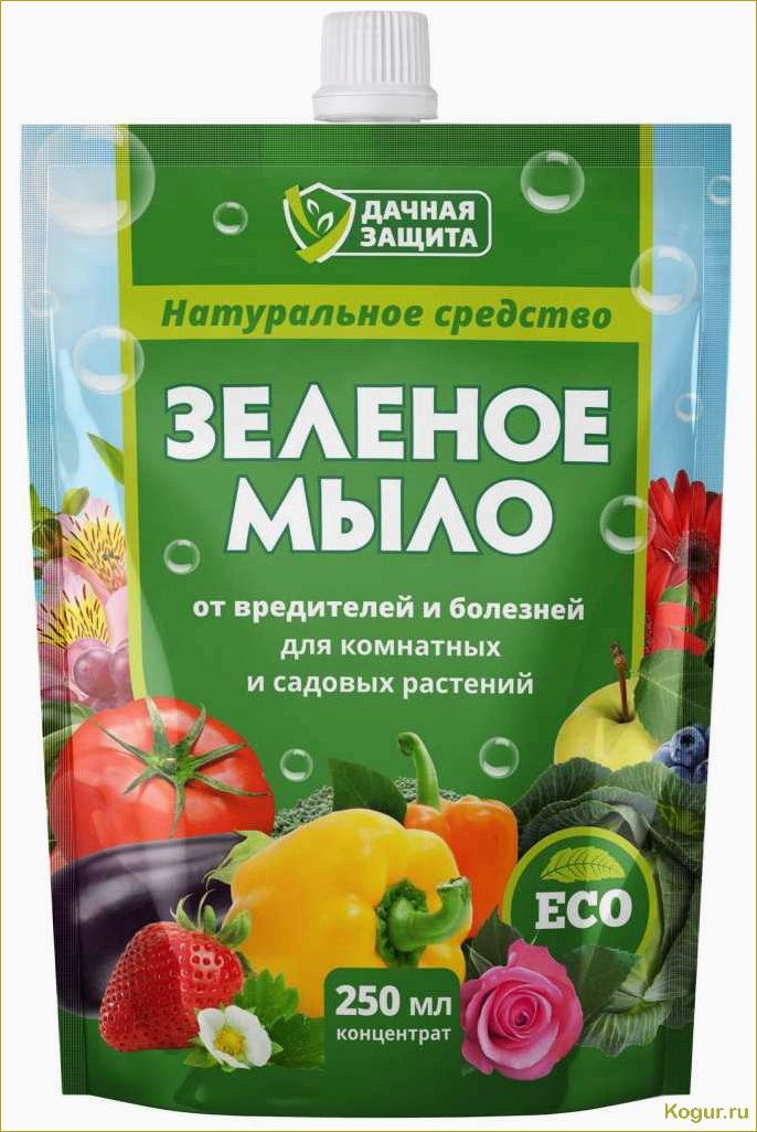 (зеленое, мыло, надежная, броня, растений) Зеленое мыло — надежная броня для растений