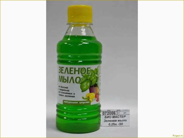 (зеленое, мыло, надежная, броня, растений) Зеленое мыло — надежная броня для растений