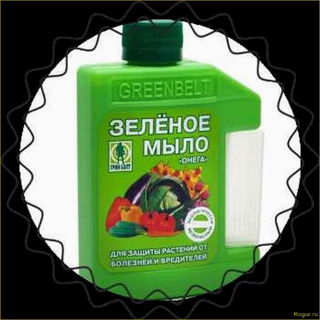 (зеленое, мыло, надежная, броня, растений) Зеленое мыло — надежная броня для растений