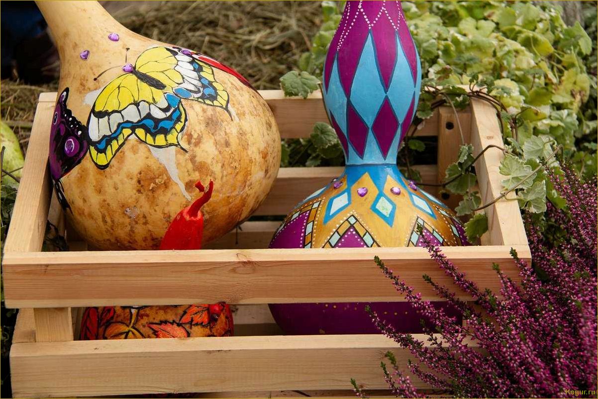 (введение, удивительные, сорта, чудо-тыквы, лагенарии) Введение в удивительные сорта чудо-тыквы лагенарии: узнайте больше о разнообразии их видов