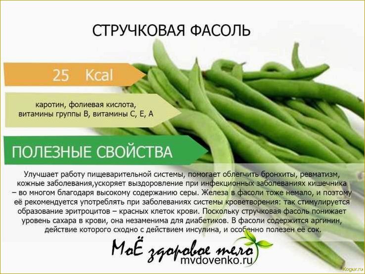 (виды, сорта, стручковой, фасоли, фото) Виды и сорта стручковой фасоли: фото и описания