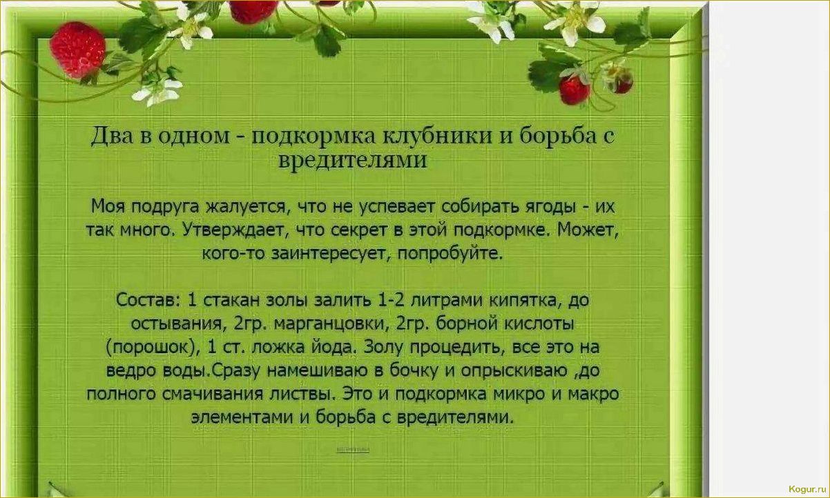 Зола как удобрение — отличный результат без затрат