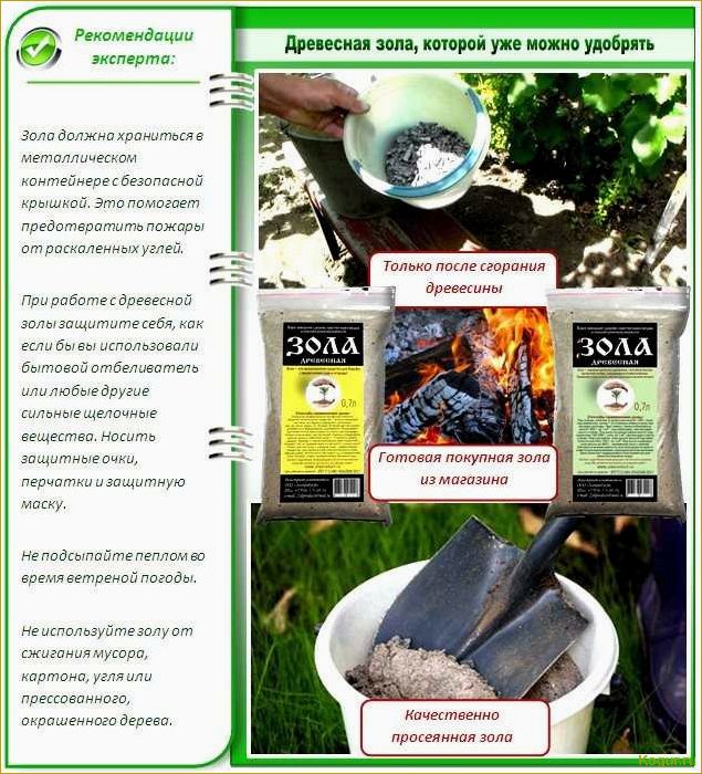 Зола как удобрение — отличный результат без затрат