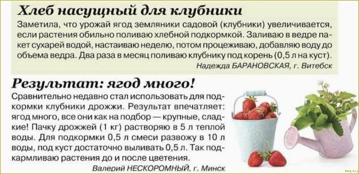 Зола как удобрение — отличный результат без затрат