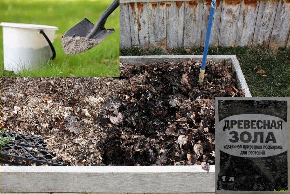 Зола как удобрение — отличный результат без затрат