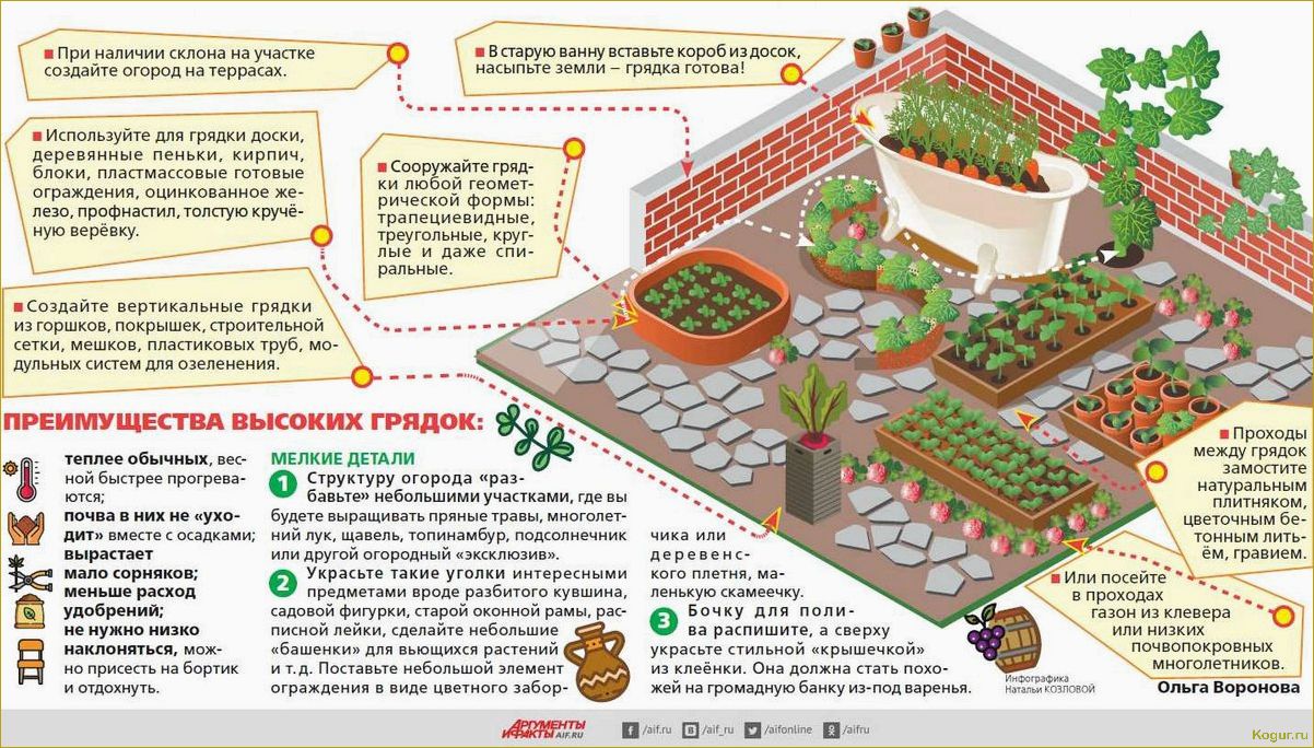 Посадка и уход за ракитником в Подмосковье: советы садоводу