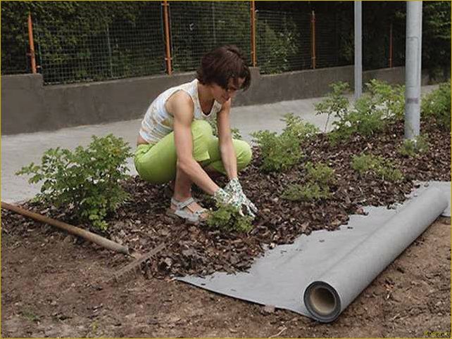 Что такое геотекстиль, применение и использование на даче