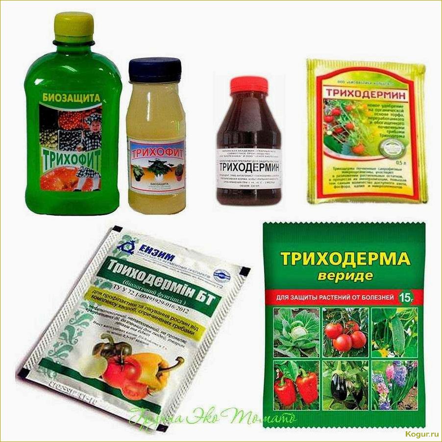 (использовать, фастак, эффективной, борьбы, вредителями) Как использовать Фастак для эффективной борьбы с вредителями в саду и огороде: подробная инструкция