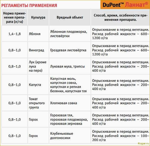(использовать, фастак, эффективной, борьбы, вредителями) Как использовать Фастак для эффективной борьбы с вредителями в саду и огороде: подробная инструкция