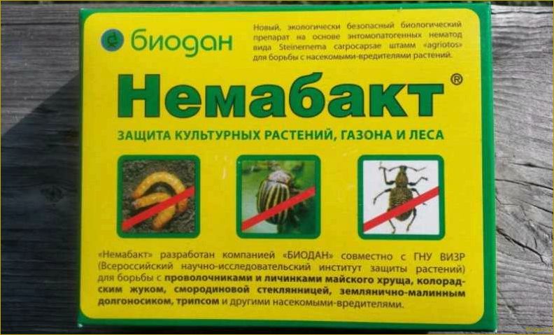 (использовать, немабакт, инструкция, применению, действие) Как использовать Немабакт: инструкция по применению и действие биопрепарата