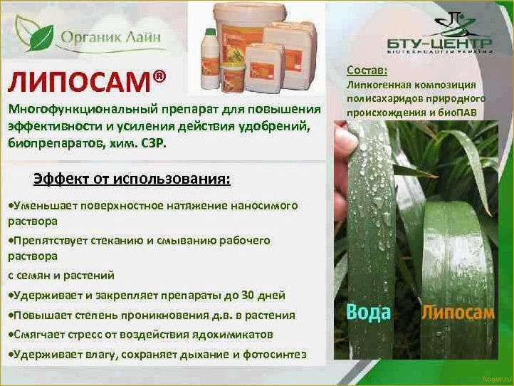 (использовать, немабакт, инструкция, применению, действие) Как использовать Немабакт: инструкция по применению и действие биопрепарата