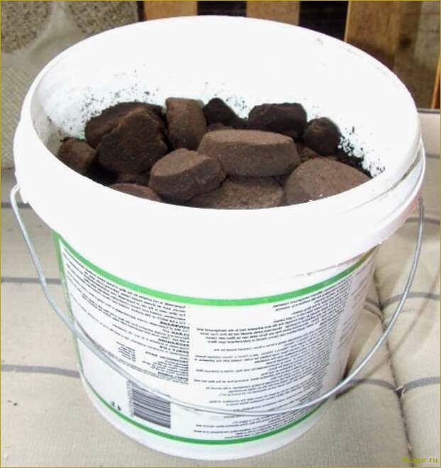 (использование, кофейного, жмыха, садоводстве, эффективное) Использование кофейного жмыха в садоводстве: эффективное удобрение для растений