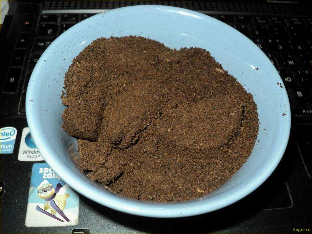 (использование, кофейного, жмыха, садоводстве, эффективное) Использование кофейного жмыха в садоводстве: эффективное удобрение для растений