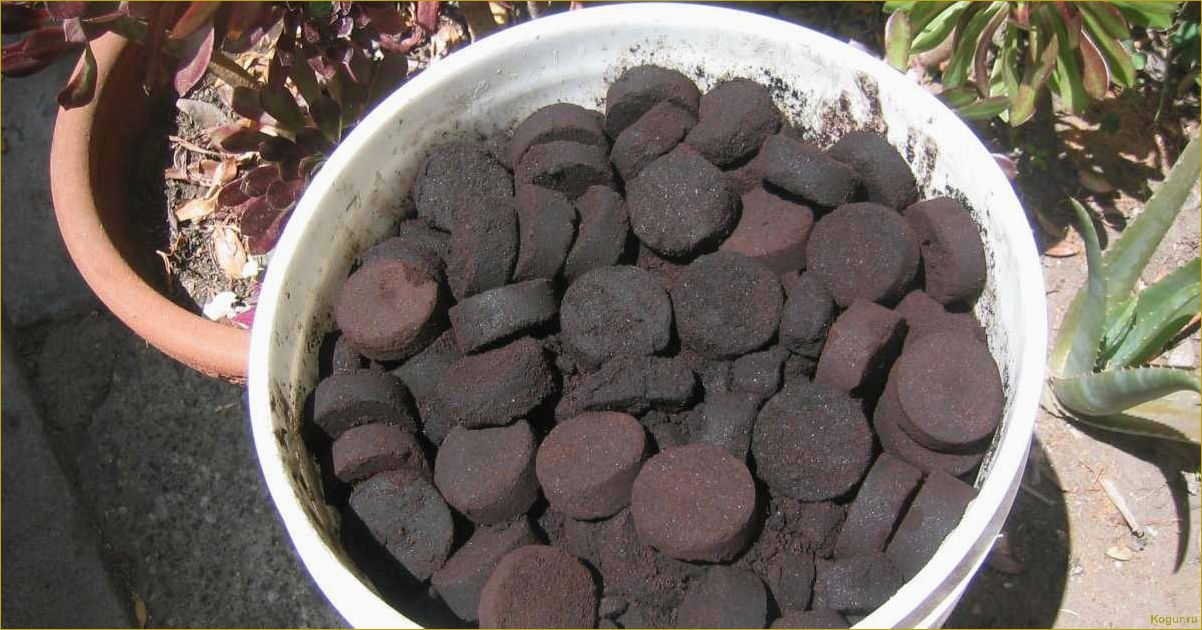 (использование, кофейного, жмыха, садоводстве, эффективное) Использование кофейного жмыха в садоводстве: эффективное удобрение для растений