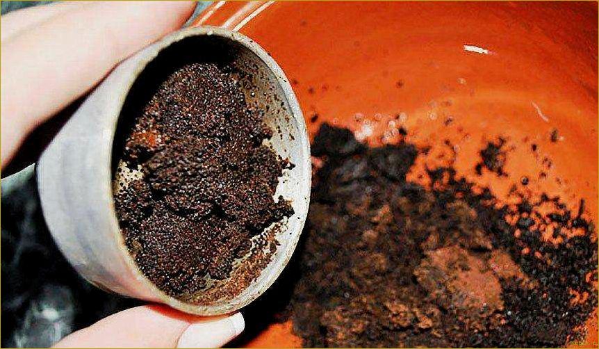 (использование, кофейного, жмыха, садоводстве, эффективное) Использование кофейного жмыха в садоводстве: эффективное удобрение для растений