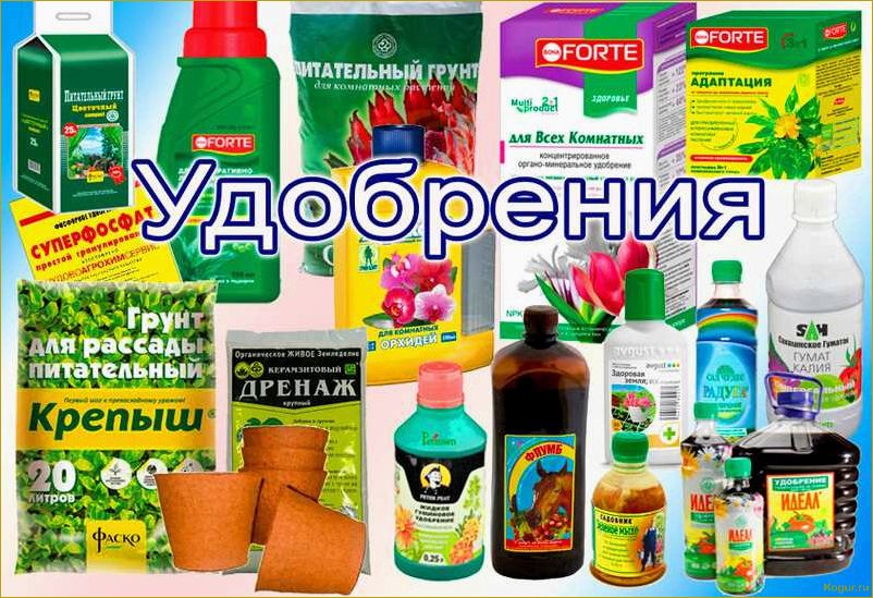 (применение, лекарственных, препаратов, аптеки, ухода) Применение лекарственных препаратов из аптеки для ухода за растениями в саду и на огороде