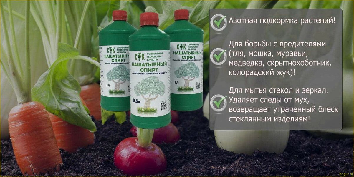 (применение, лекарственных, препаратов, аптеки, ухода) Применение лекарственных препаратов из аптеки для ухода за растениями в саду и на огороде