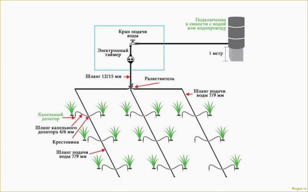 Повышение эффективности полива грядок с помощью системы Жук для капельного орошения