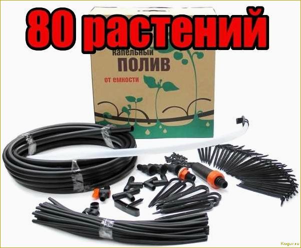 Повышение эффективности полива грядок с помощью системы Жук для капельного орошения