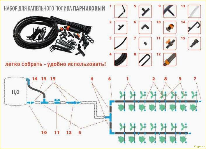 Повышение эффективности полива грядок с помощью системы Жук для капельного орошения