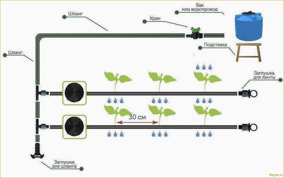 Повышение эффективности полива грядок с помощью системы Жук для капельного орошения