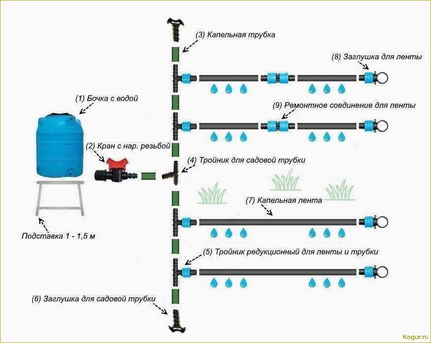 Повышение эффективности полива грядок с помощью системы Жук для капельного орошения