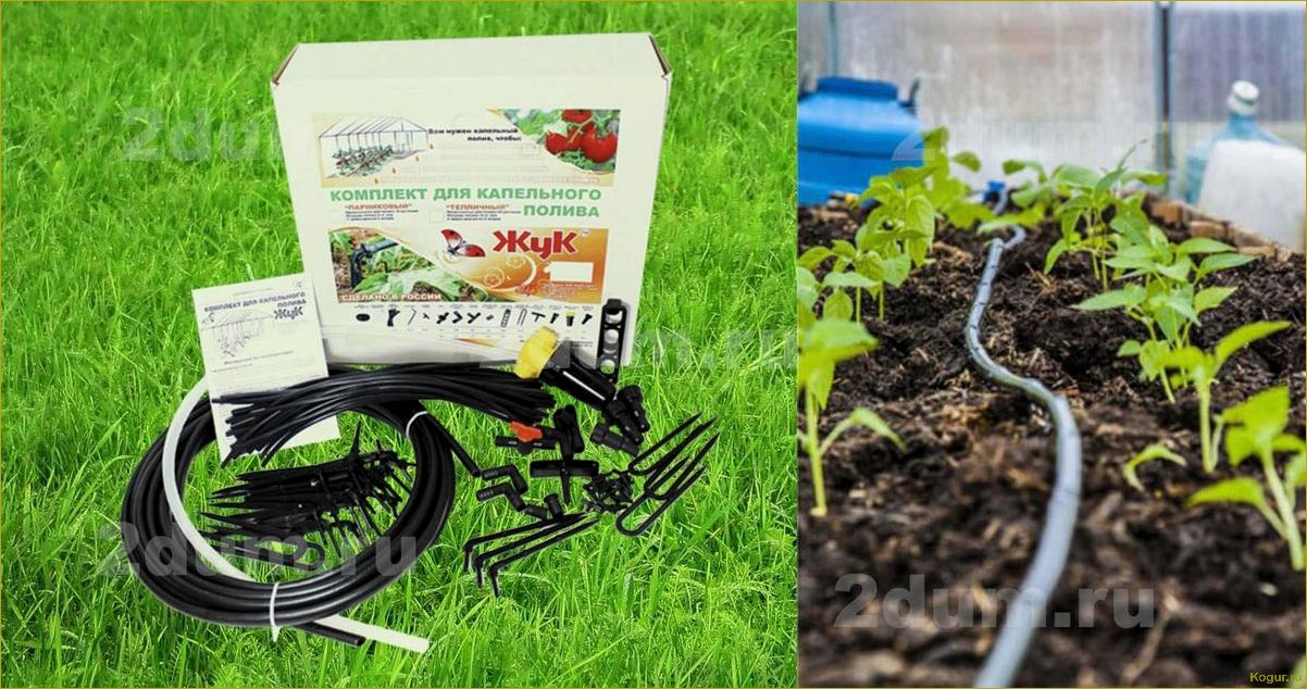 Повышение эффективности полива грядок с помощью системы Жук для капельного орошения