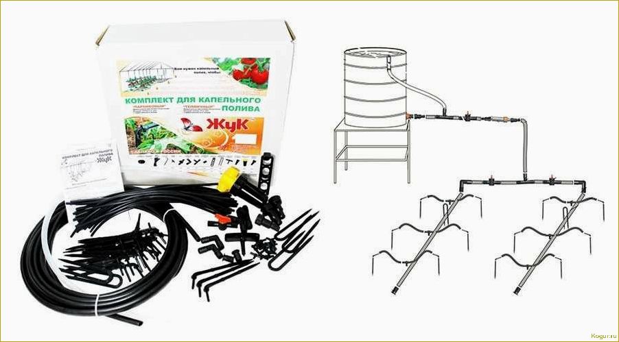 Повышение эффективности полива грядок с помощью системы Жук для капельного орошения