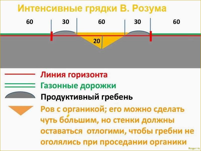 Используем теплые грядки Розума для получения богатого урожая