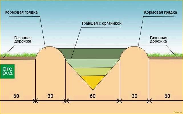 Используем теплые грядки Розума для получения богатого урожая