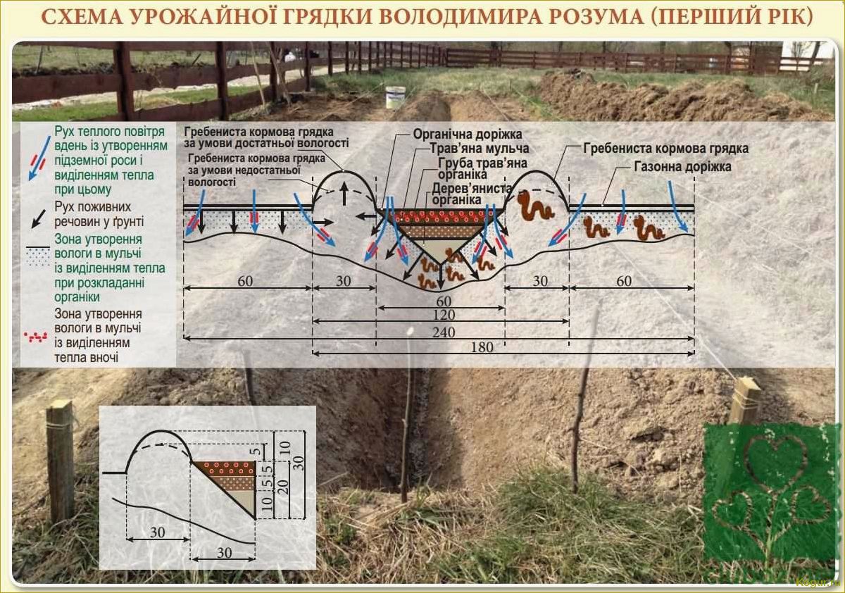 Используем теплые грядки Розума для получения богатого урожая