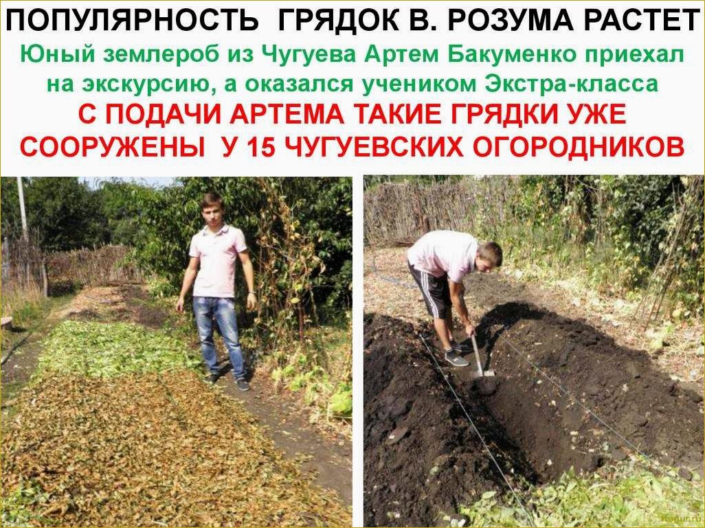 Используем теплые грядки Розума для получения богатого урожая