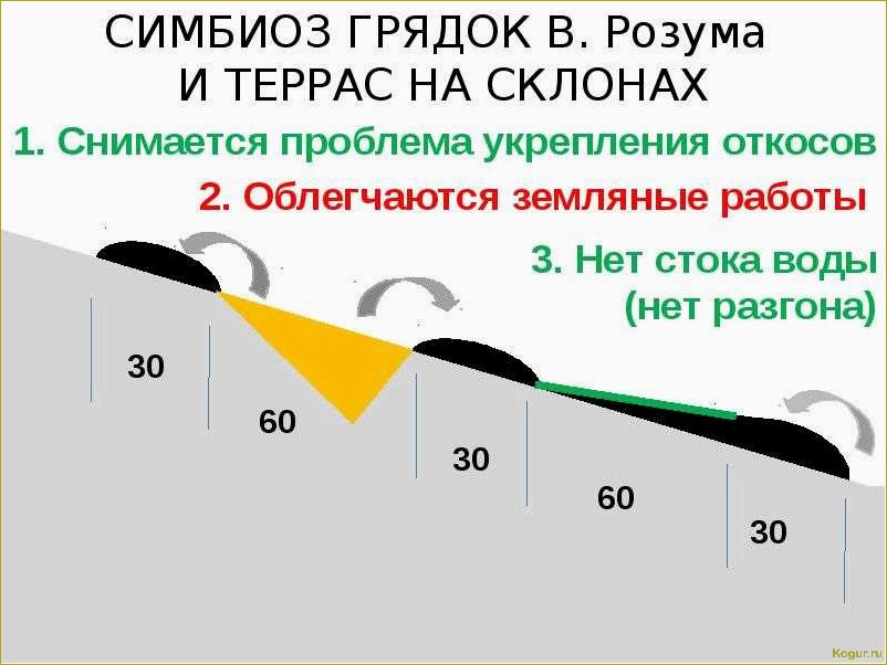 Используем теплые грядки Розума для получения богатого урожая