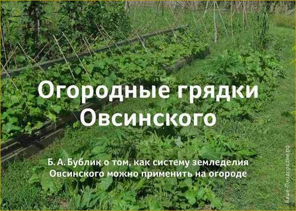 Используем теплые грядки Розума для получения богатого урожая