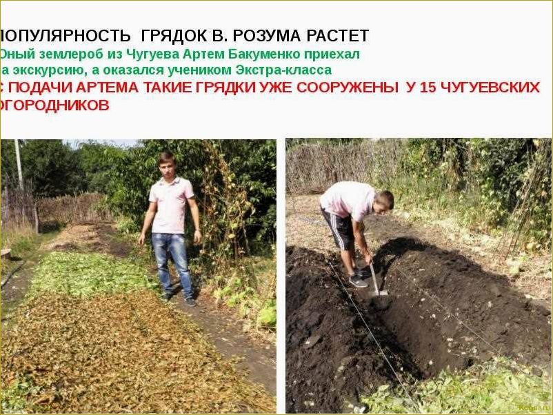 Используем теплые грядки Розума для получения богатого урожая