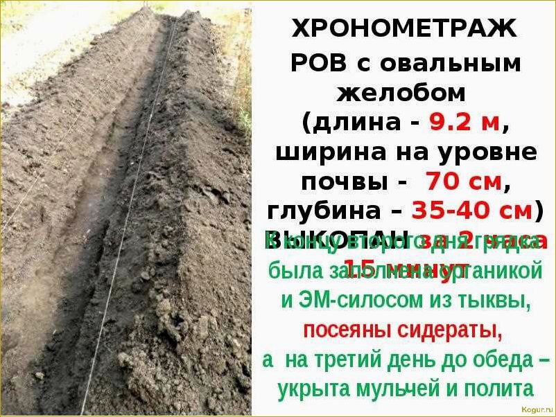 Используем теплые грядки Розума для получения богатого урожая