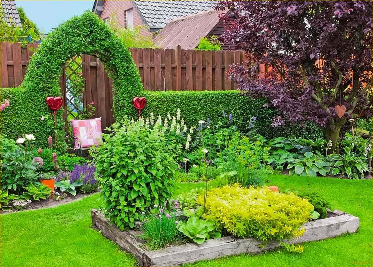 (эффектные, виды, рябинника, украшения, дачного) Эффектные виды рябинника для украшения дачного участка