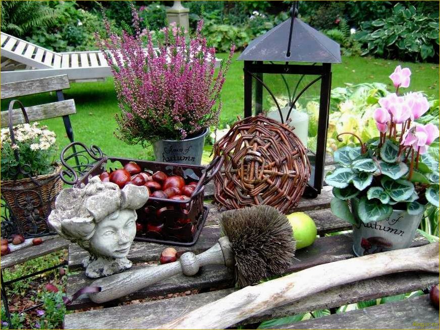 (эффектные, виды, рябинника, украшения, дачного) Эффектные виды рябинника для украшения дачного участка