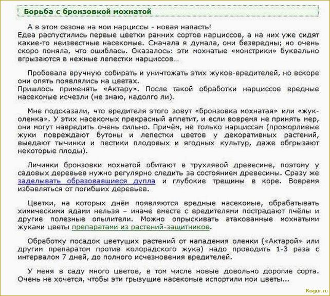 (эффективные, методы, борьбы, бронзовкой) Эффективные методы борьбы с бронзовкой