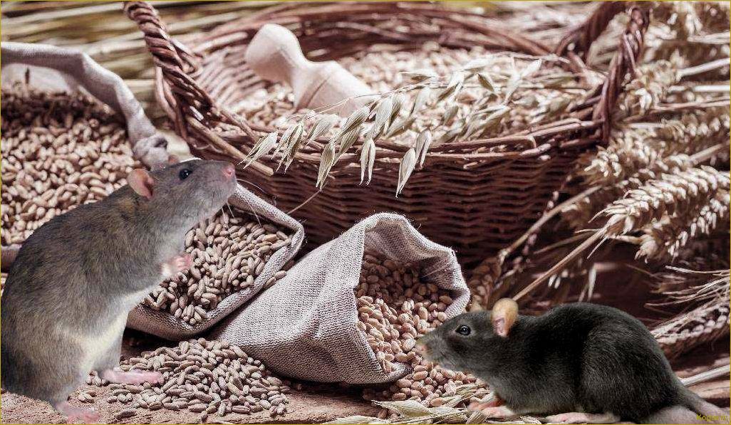 Эффективные способы избавления от водяной полевки на участке