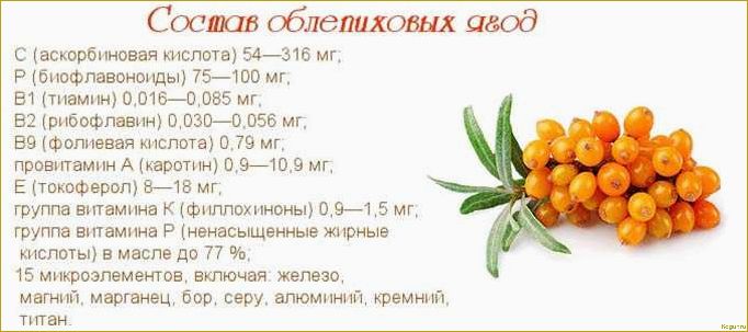 (собирать, облепиху, эффективные, советы, ценителей) Как собирать облепиху: эффективные советы для ценителей оранжевой ягоды