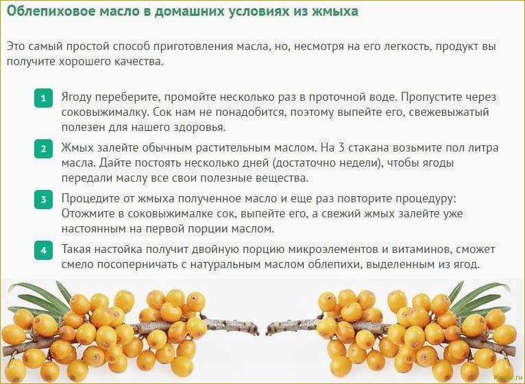 (собирать, облепиху, эффективные, советы, ценителей) Как собирать облепиху: эффективные советы для ценителей оранжевой ягоды