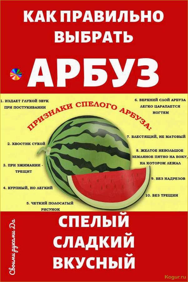 (выбрать, арбуз, нитратов, магазине) Как выбрать арбуз без нитратов в магазине